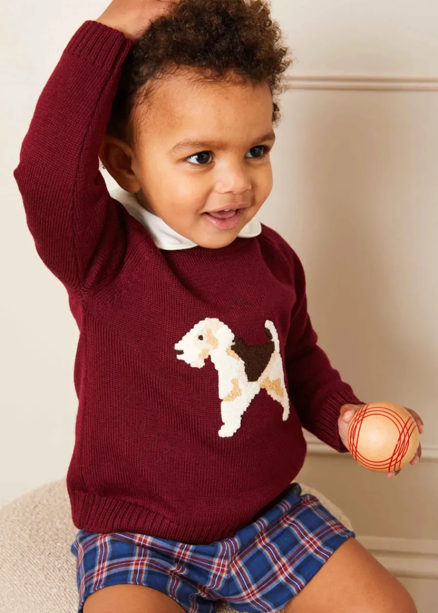 BOY Pepa London Doggy Intarsia Jumper in Burgundy (12mths-10yrs)