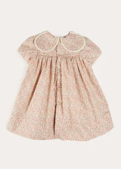 Pepa London Mabel Floral Statement Collar Short Sleeve Dress in Coral (12mths-10yrs)