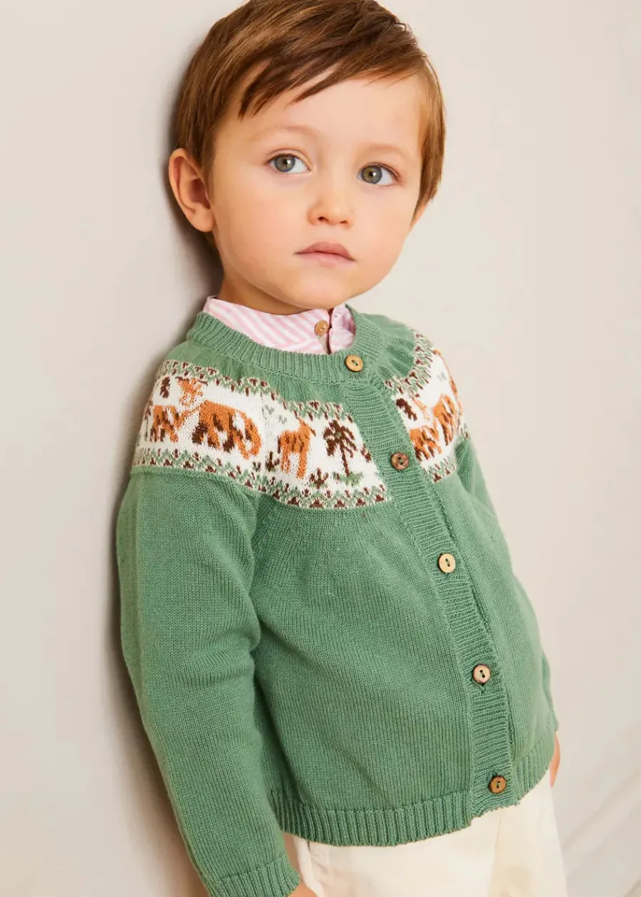 BOY Pepa London Safari Intarsia Cardigan in Green (6mths-6yrs) | Hertford Striped Mao Collar Long Sleeve Shirt in Coral (12mths-10yrs) | Faux Pocket Elasticated Waist Shorts in Ivory (12mths-4yrs) | Leather T-Bar Baby Shoes in Brown (20-26EU) | Ribbed Short Socks in Beige (0mths-10yrs) | Little People, Big Dreams - David Attenborough Book in Green
